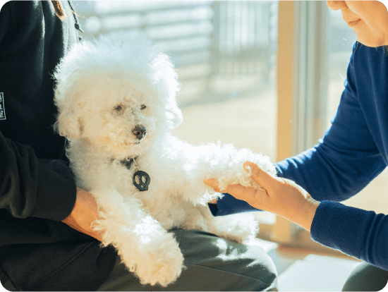 動物整体の様子01
