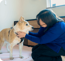 ペットシッター