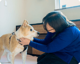 ペットシッター