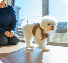 ペットお預かり