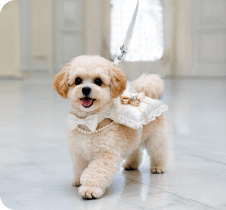 ウエディングシッター