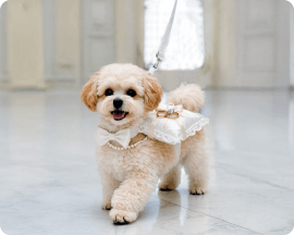 ウエディングシッター