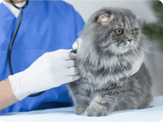 動物病院受診代行の様子02