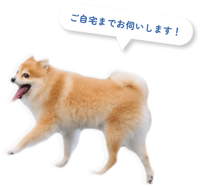 ご自宅までお伺いします！