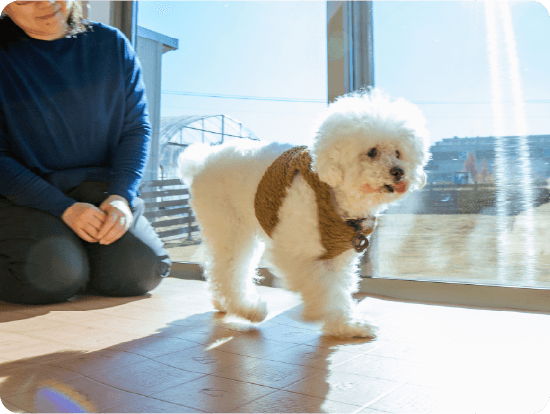 ペットお預かりの様子01