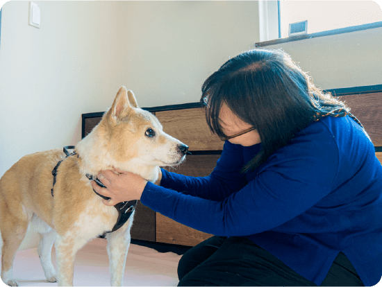 ペットシッターの様子01