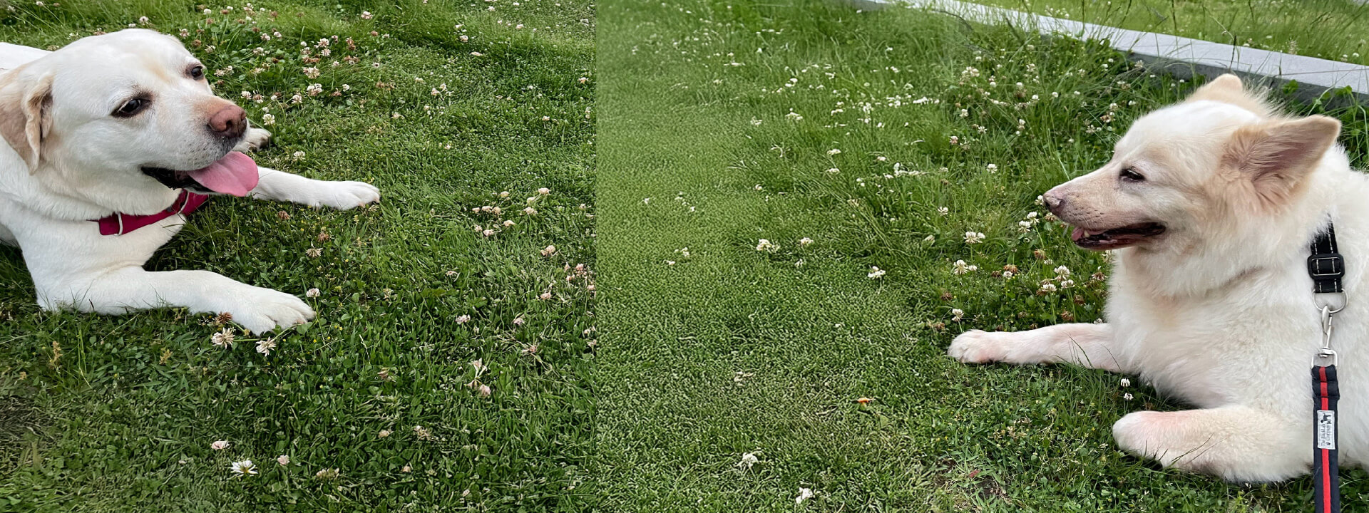 メインイメージ