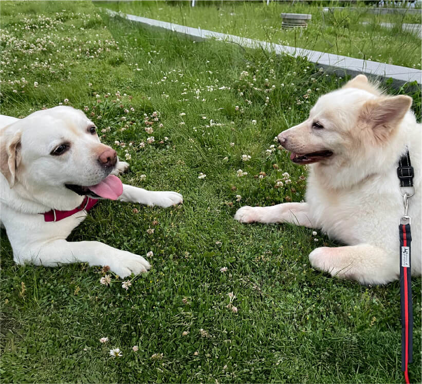 メインイメージ