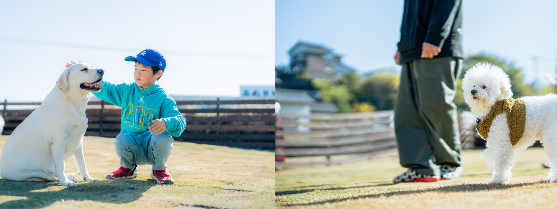 メインイメージ