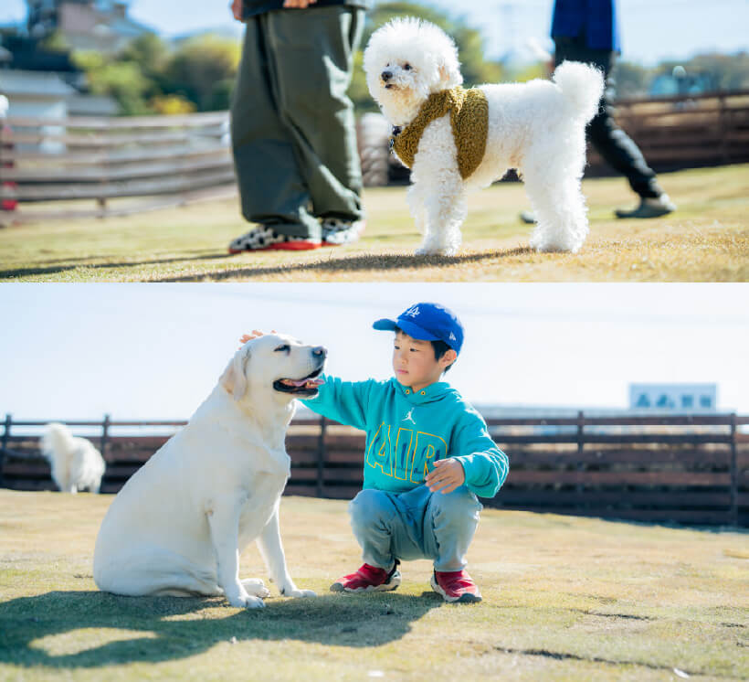 メインイメージ