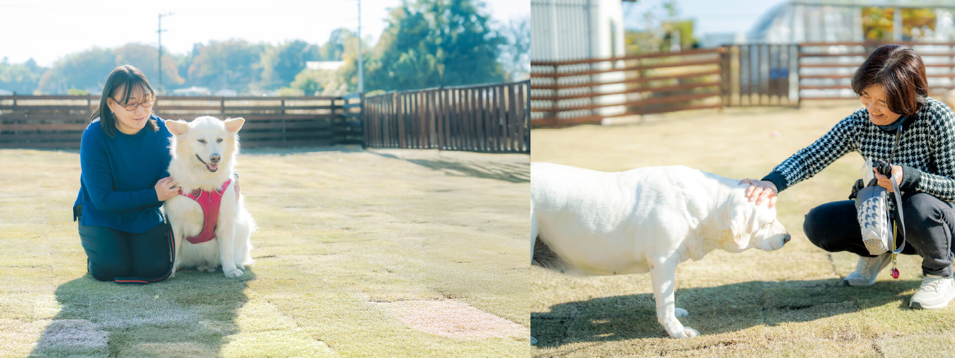 メインイメージ