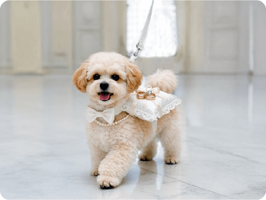 ウエディングシッターの様子01