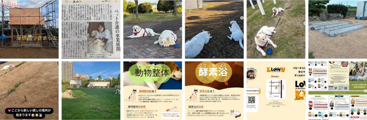 インスタグラム