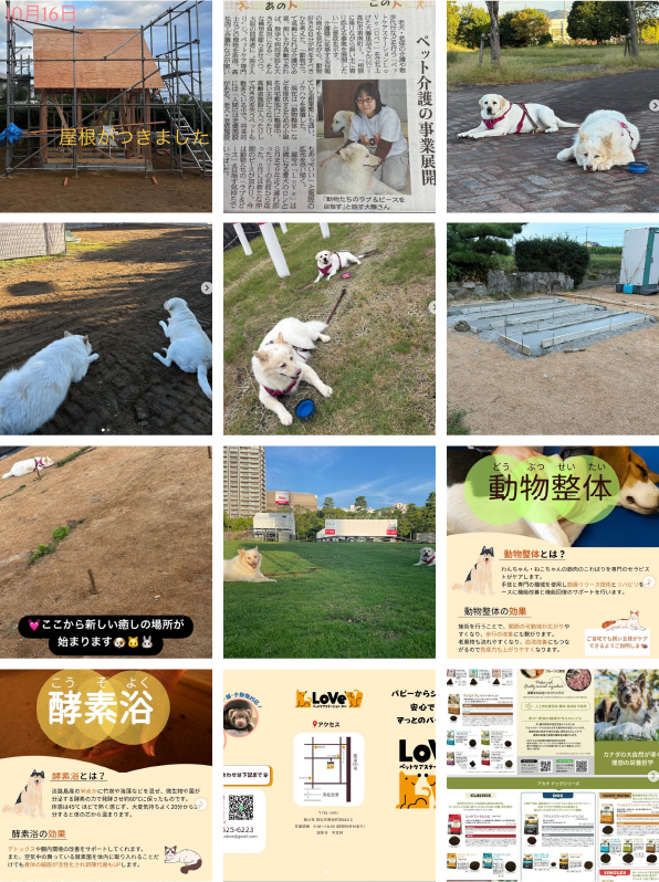 インスタグラム